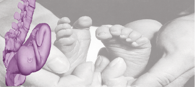 Baby-Feet-Logo_-_skewed.gif